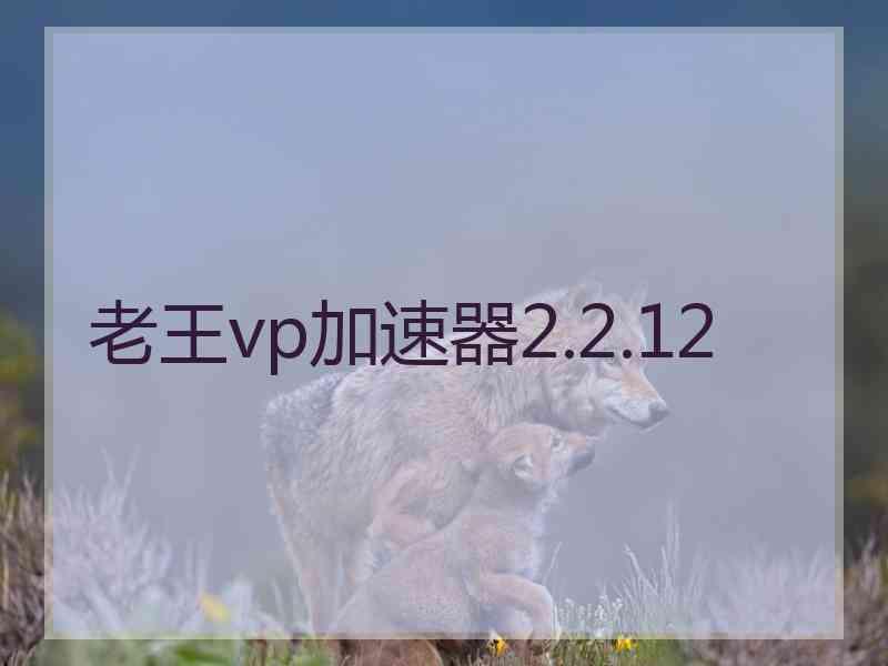 老王vp加速器2.2.12