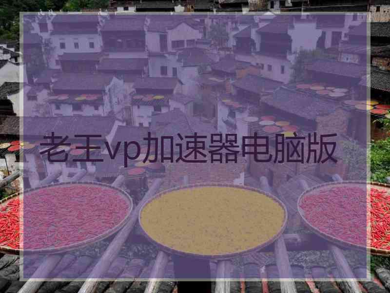 老王vp加速器电脑版