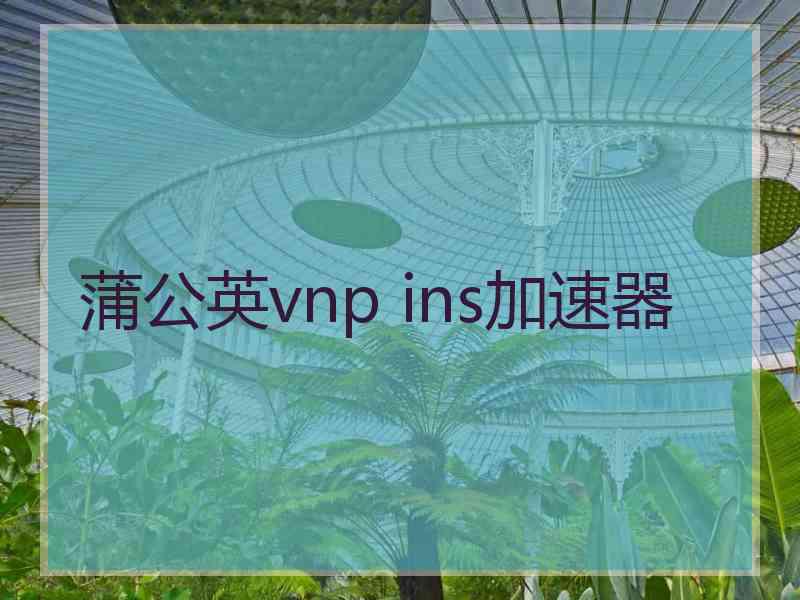 蒲公英vnp ins加速器