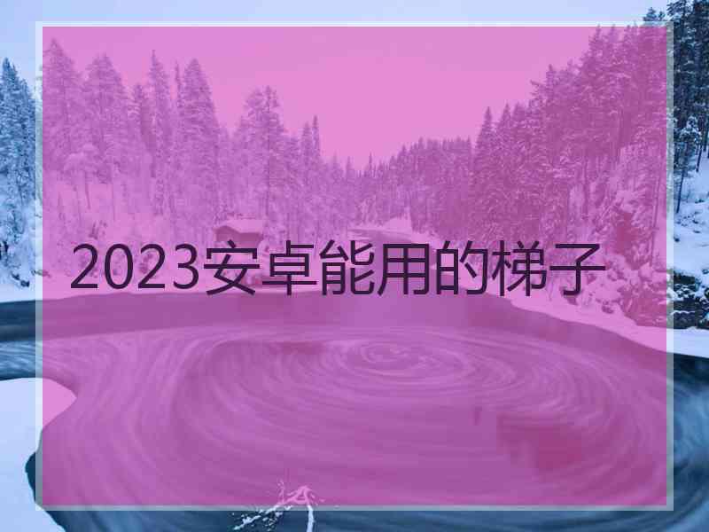 2023安卓能用的梯子