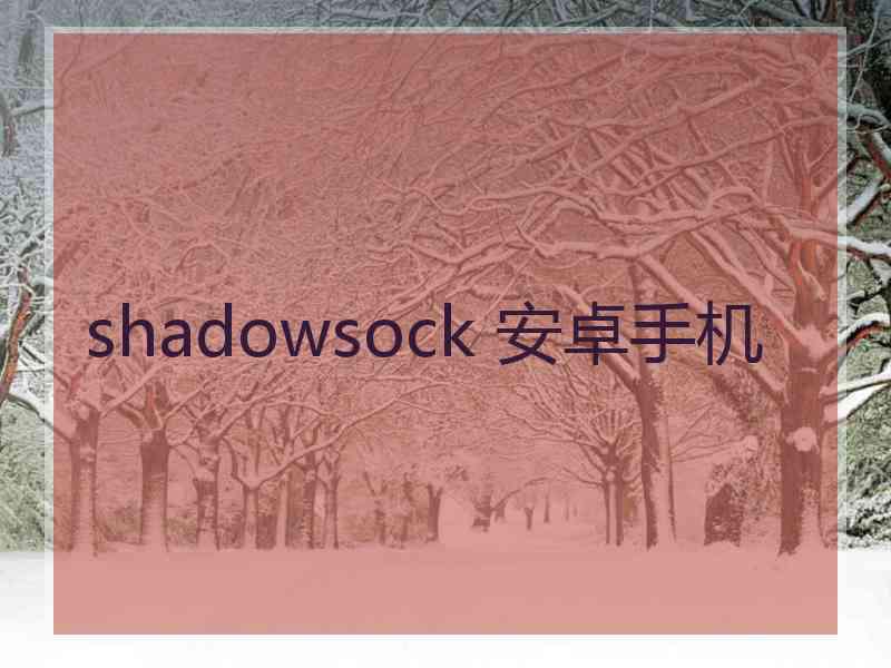 shadowsock 安卓手机