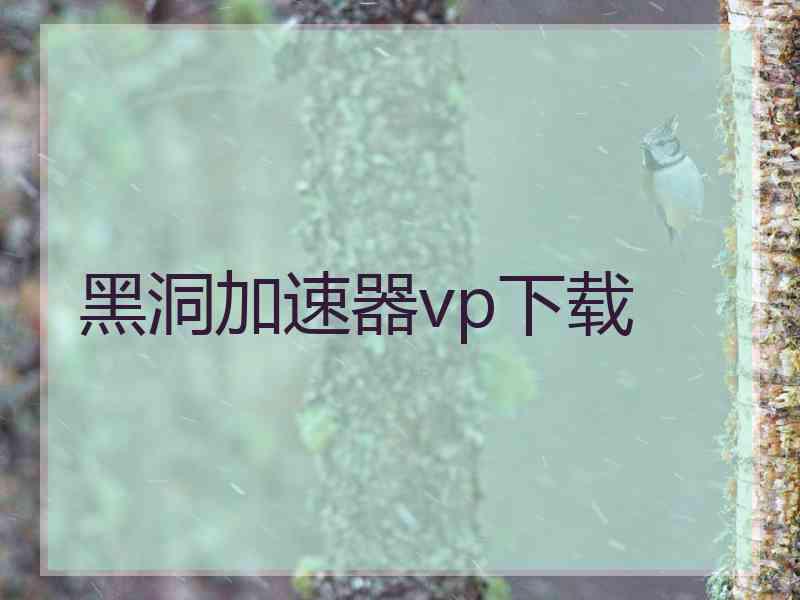 黑洞加速器vp下载