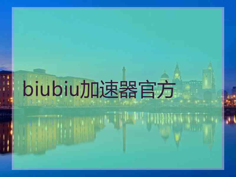 biubiu加速器官方