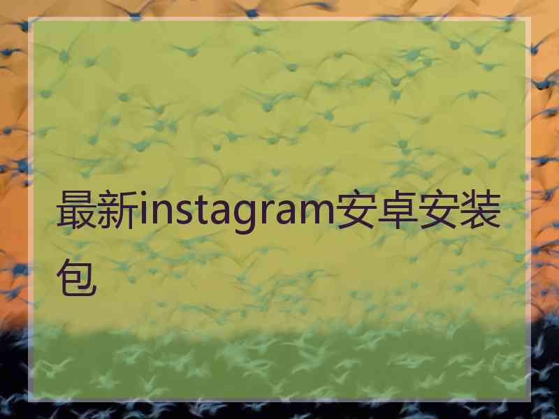 最新instagram安卓安装包