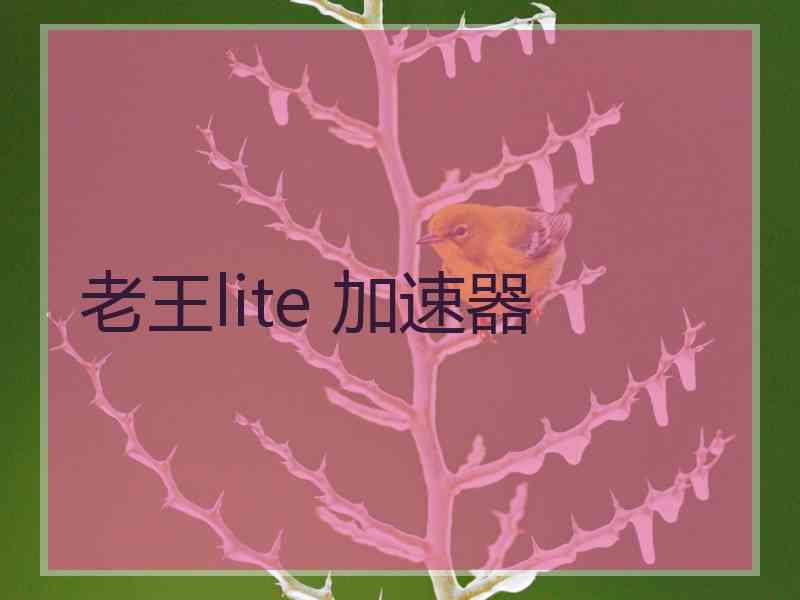 老王lite 加速器