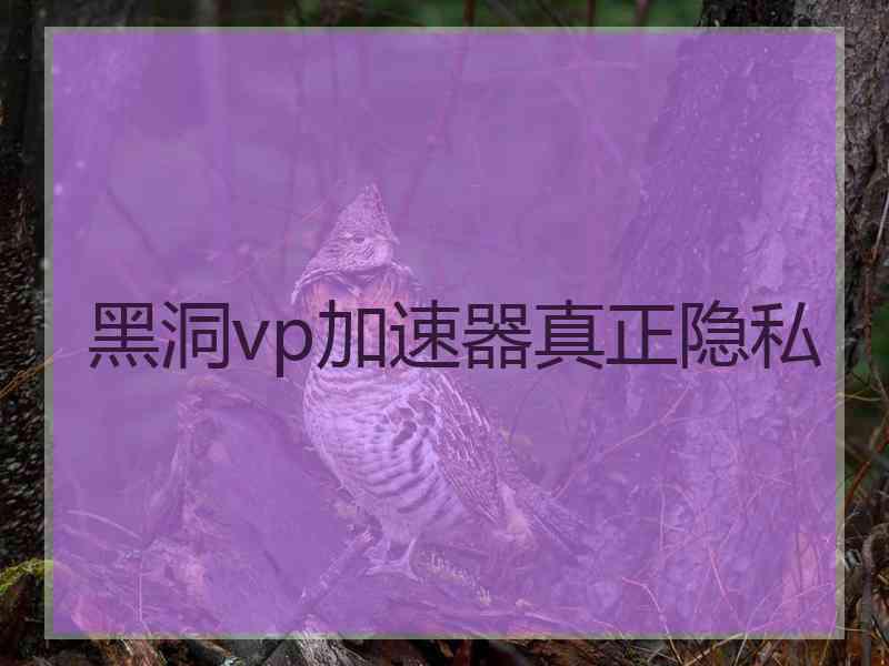 黑洞vp加速器真正隐私