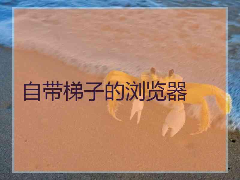 自带梯子的浏览器