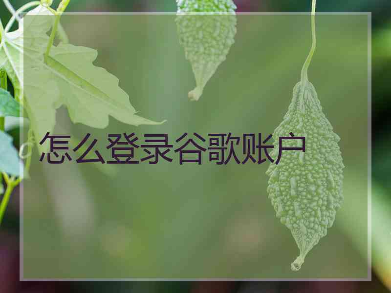 怎么登录谷歌账户