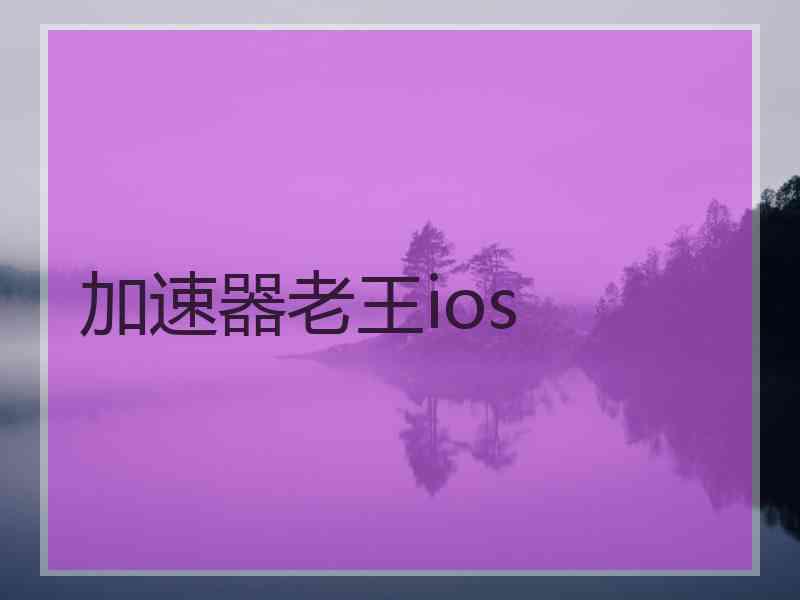 加速器老王ios