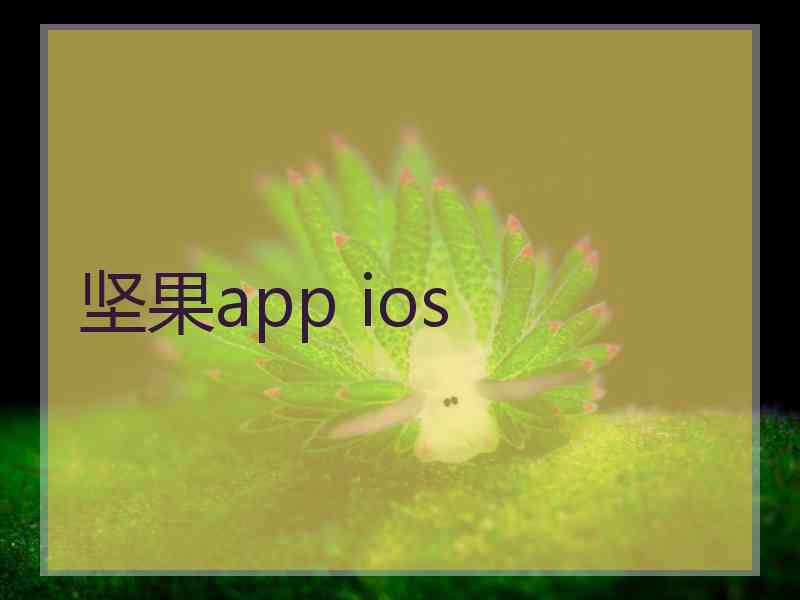 坚果app ios