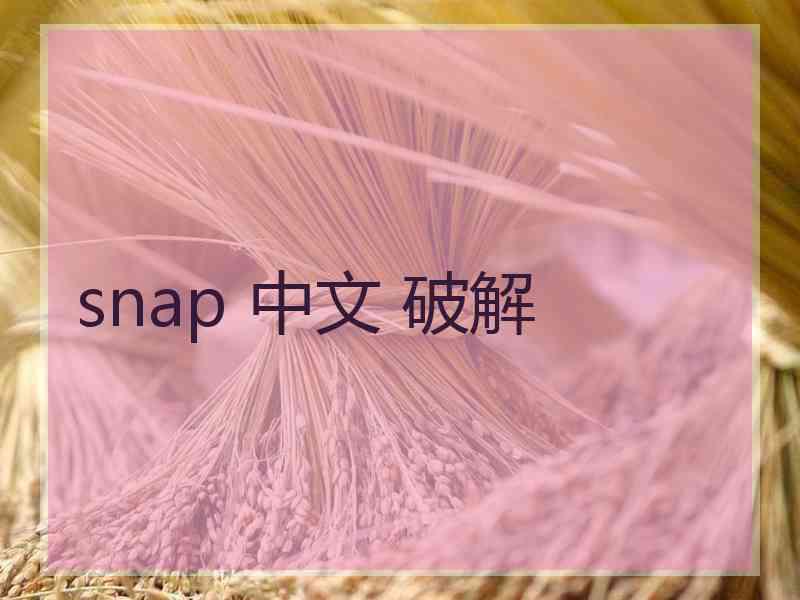 snap 中文 破解