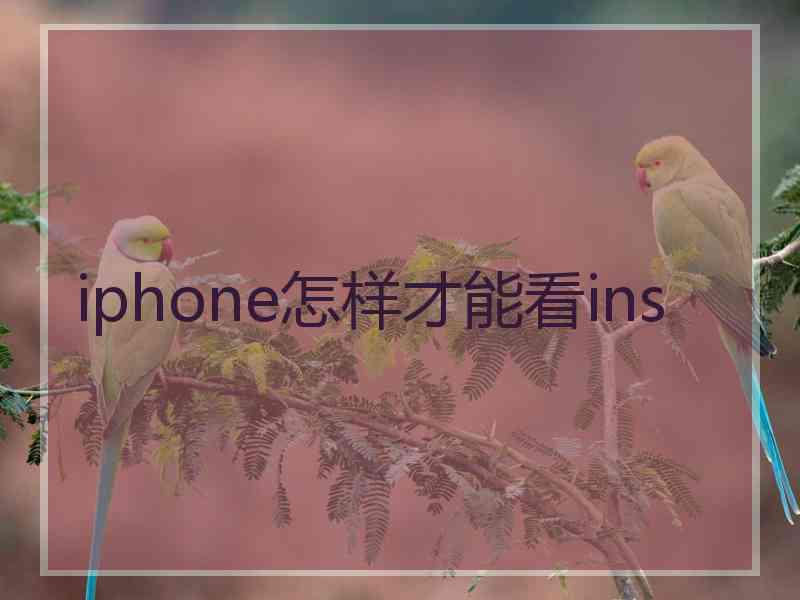 iphone怎样才能看ins