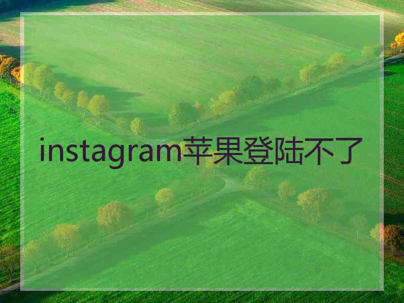 instagram苹果登陆不了