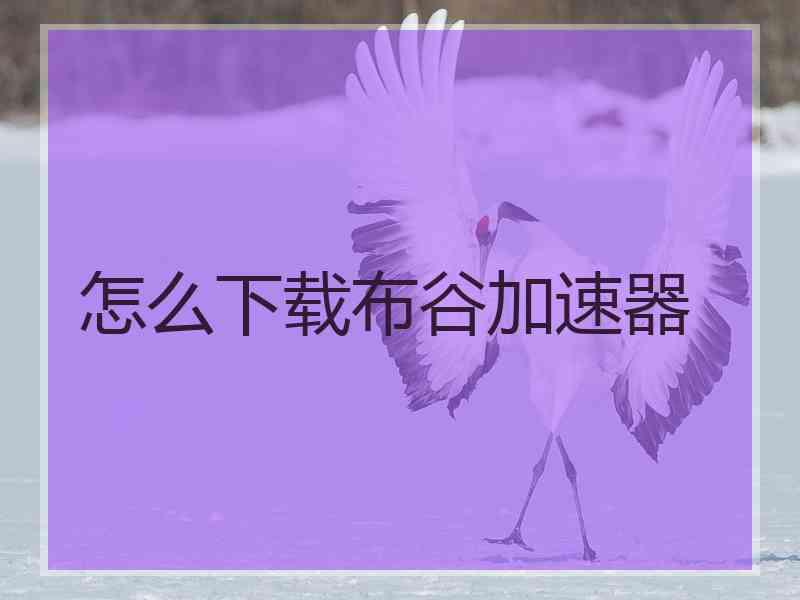 怎么下载布谷加速器