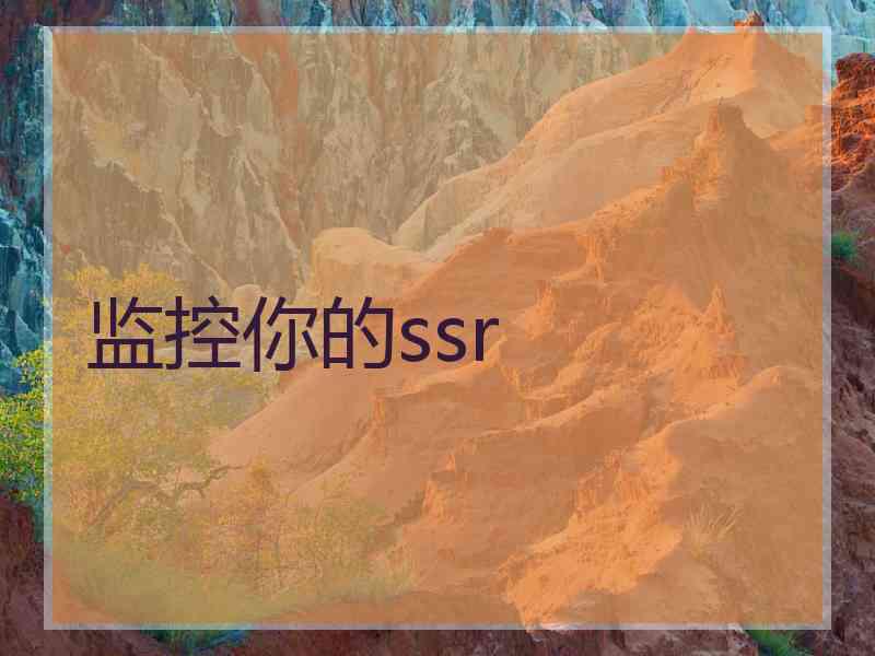 监控你的ssr