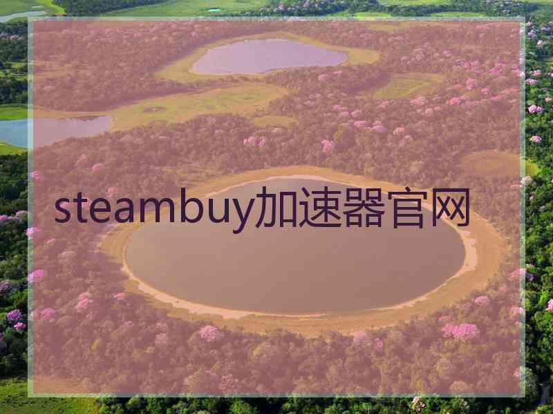 steambuy加速器官网