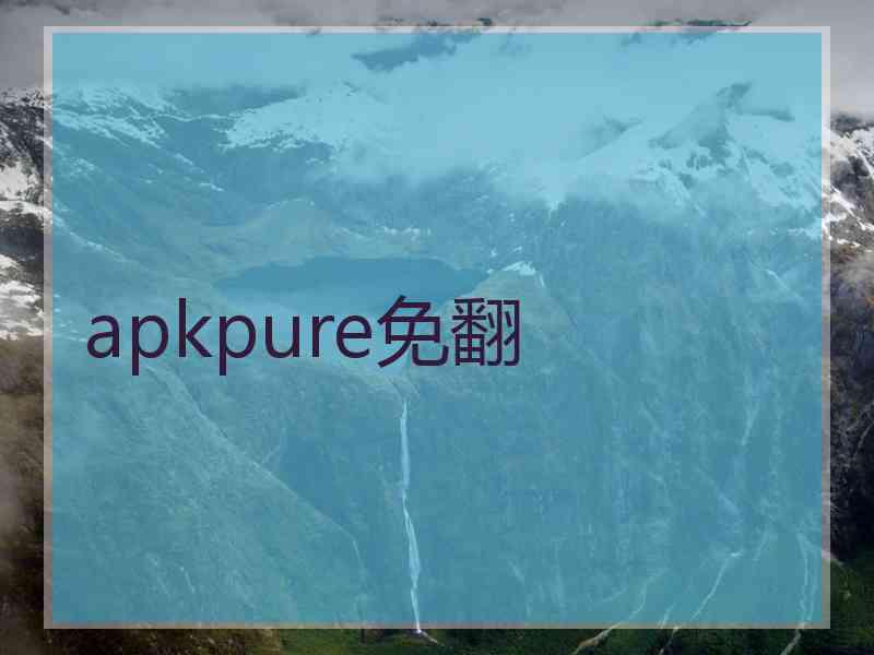 apkpure免翻