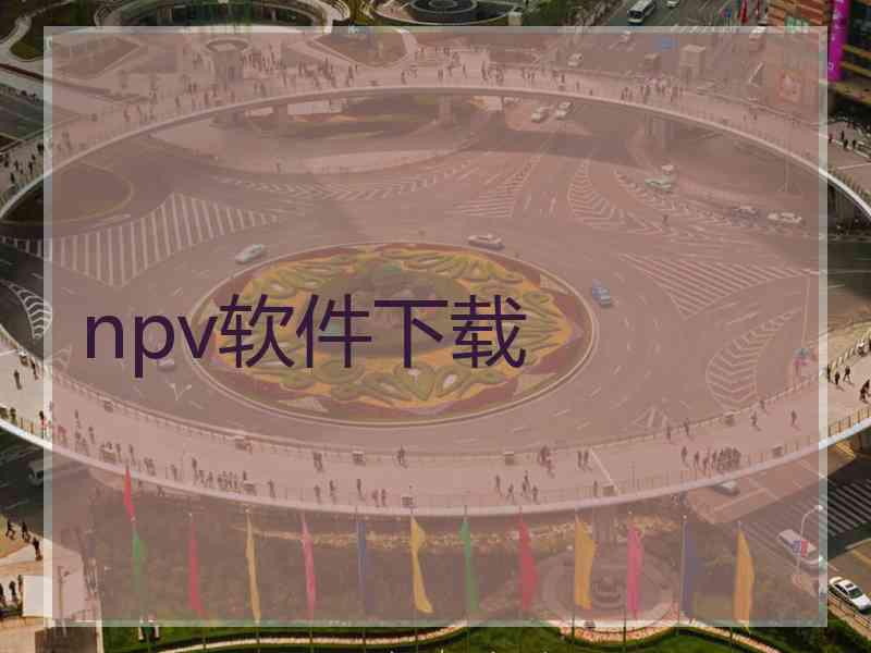 npv软件下载