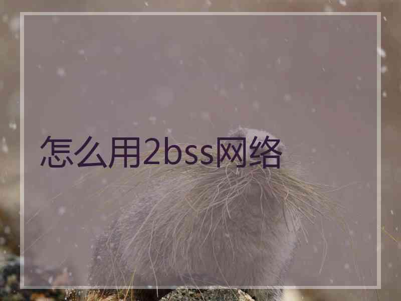 怎么用2bss网络