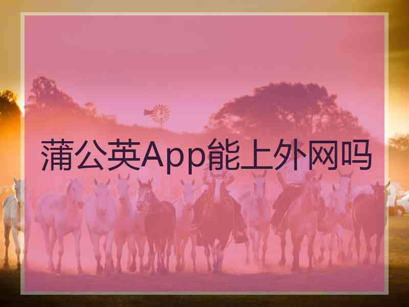 蒲公英App能上外网吗