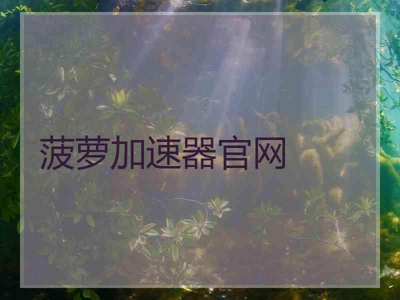 菠萝加速器官网