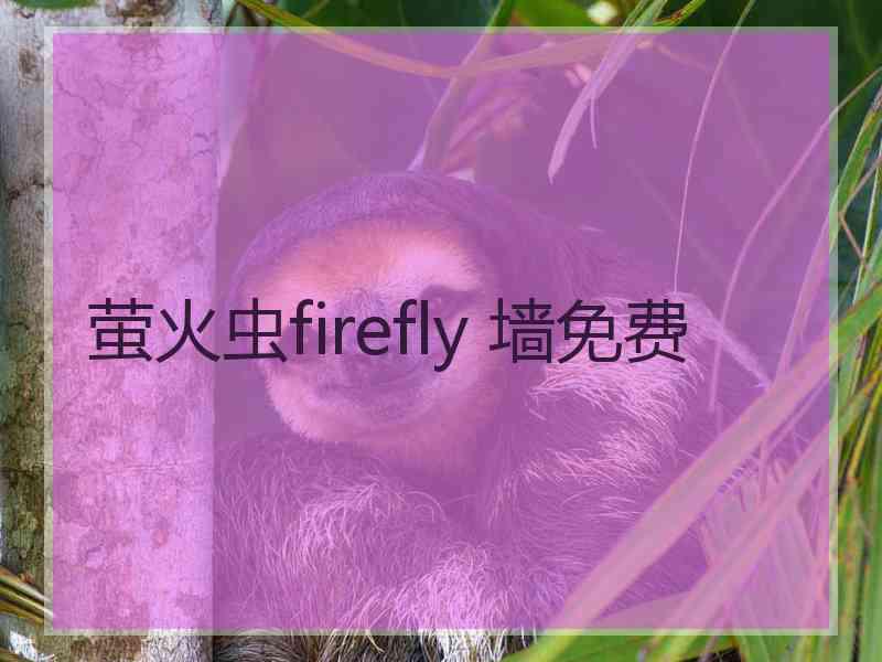 萤火虫firefly 墙免费