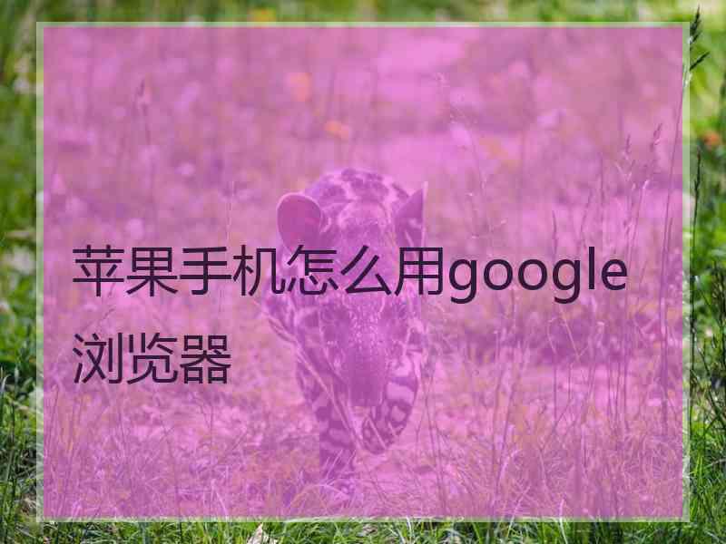 苹果手机怎么用google浏览器