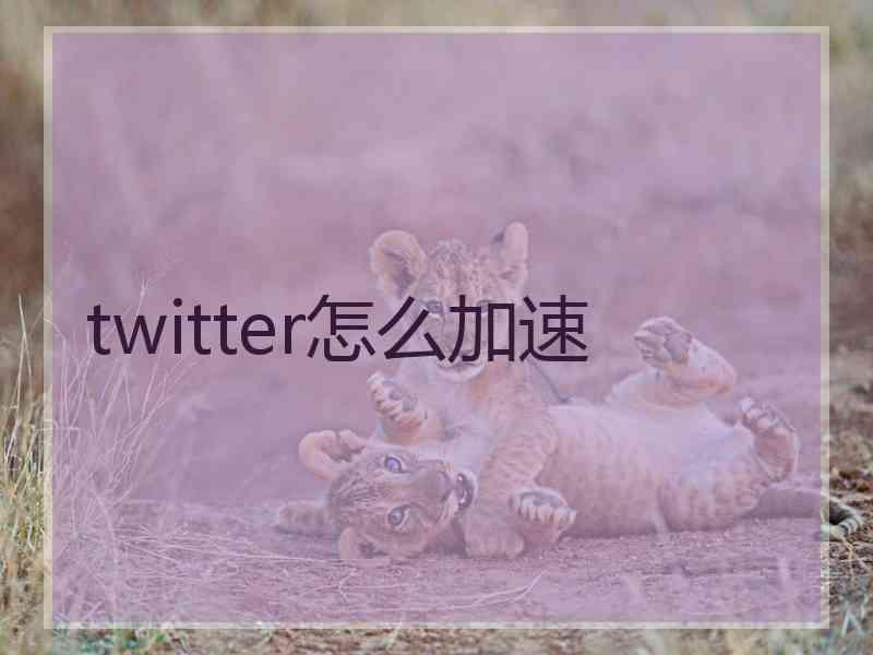 twitter怎么加速