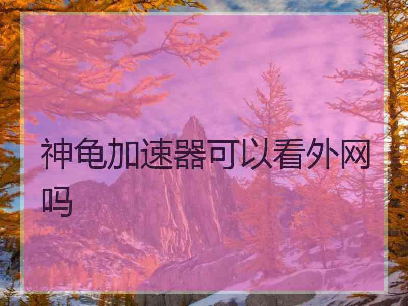 神龟加速器可以看外网吗