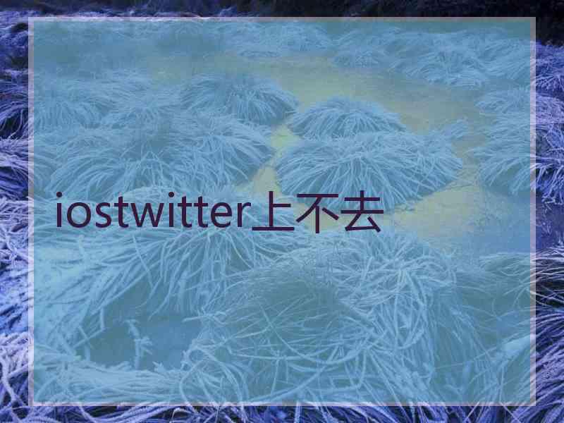 iostwitter上不去