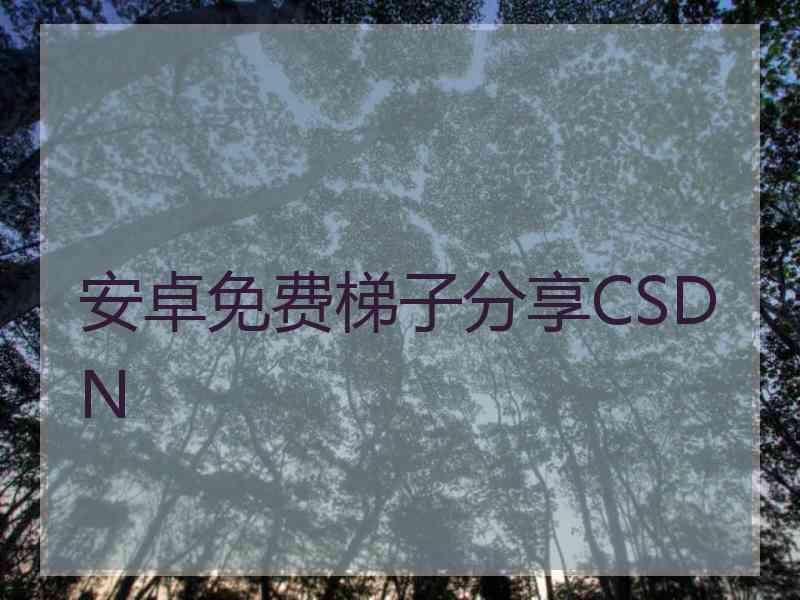 安卓免费梯子分享CSDN