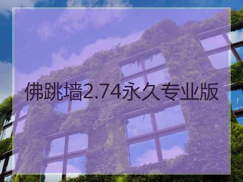 佛跳墙2.74永久专业版