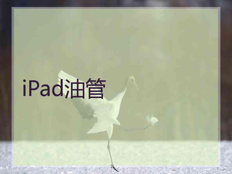 iPad油管