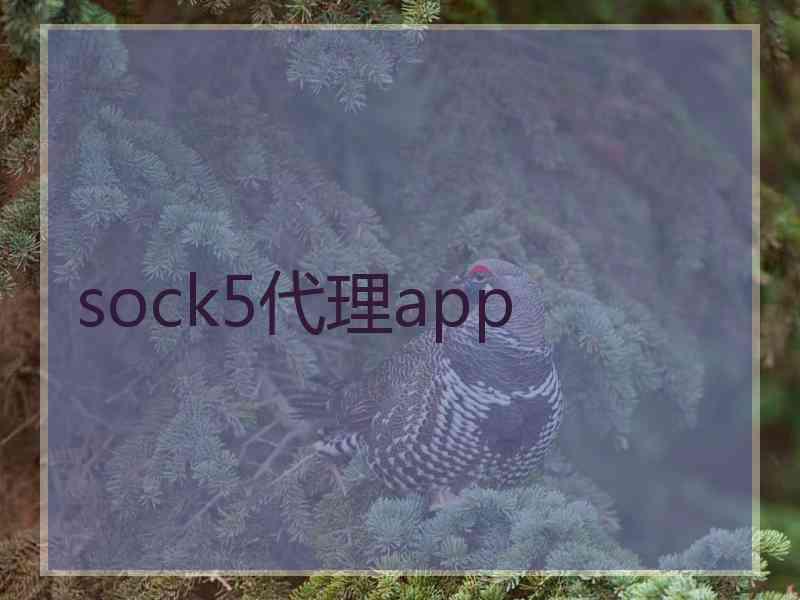 sock5代理app